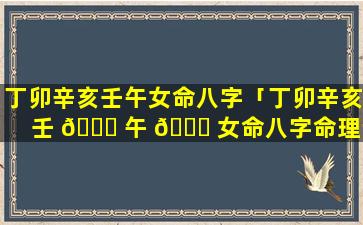 丁卯辛亥壬午女命八字「丁卯辛亥壬 🍁 午 🐎 女命八字命理详解」